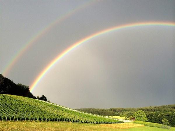 风雨之后见彩虹的经典句子（经历风雨的正能量文案）  第1张