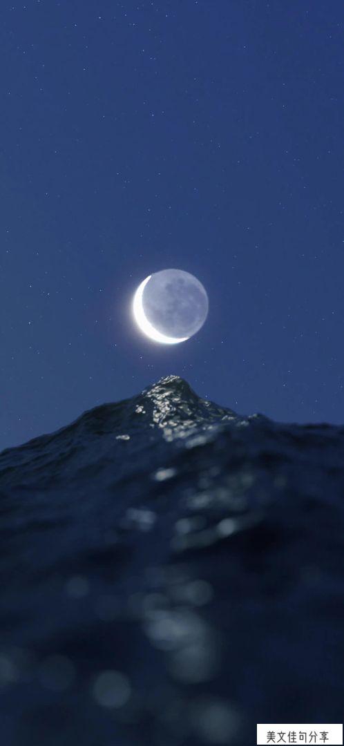 关于月色的唯美句子简短 欣赏月亮意境的短句-悟饭游戏厅